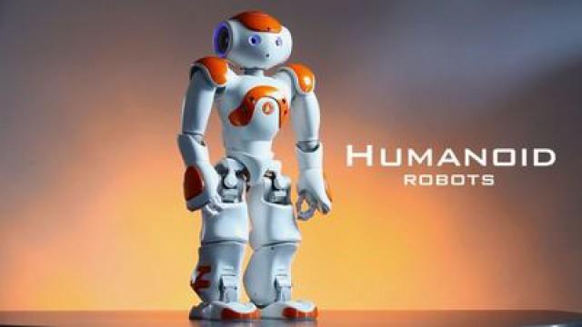 Humanoid Robots
