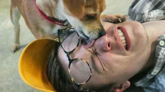 Puppy attack!