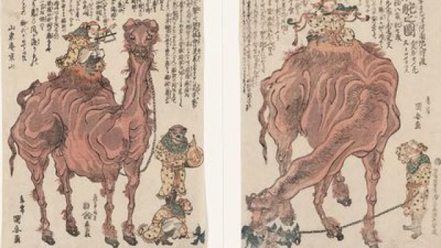 Japan's Isolation in the Tokugawa Period