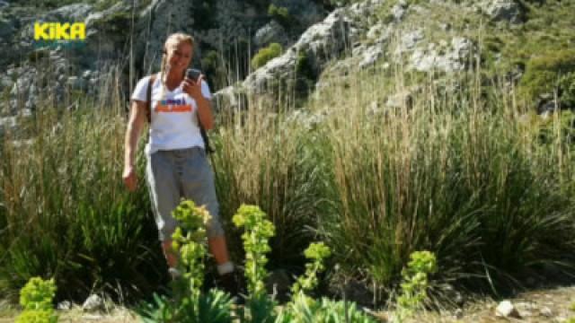 Jodeln, Singen, Wandern!