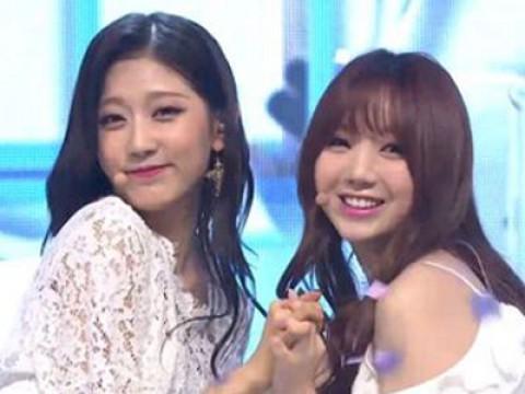 228회