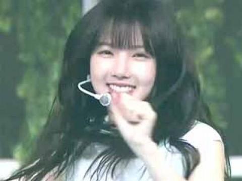 239회
