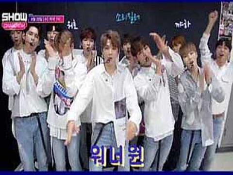 242회