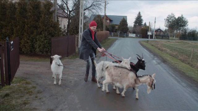Przemek i Janek