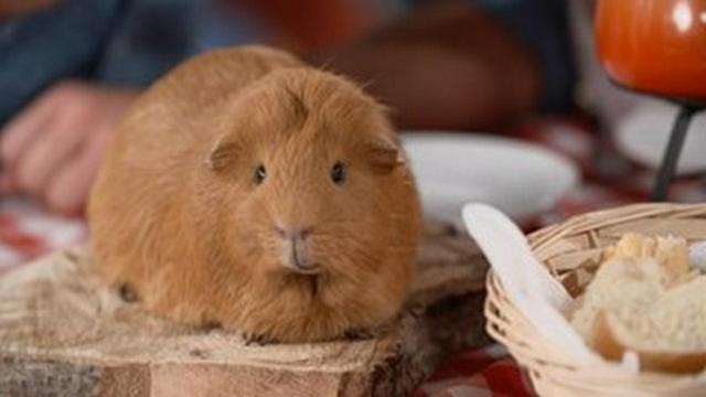 Fromage