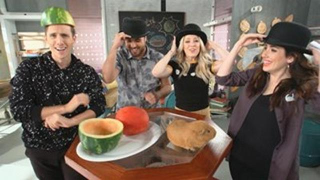 Melon