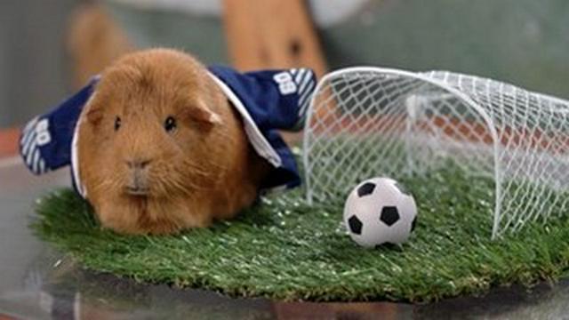 Soccer