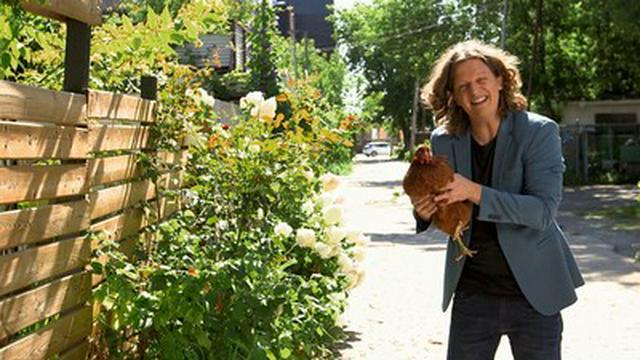 Un poulailler urbain / Troquer des tomates contre de la marijuana