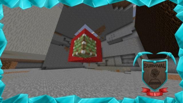 Los bloques más raros de Minecraft!