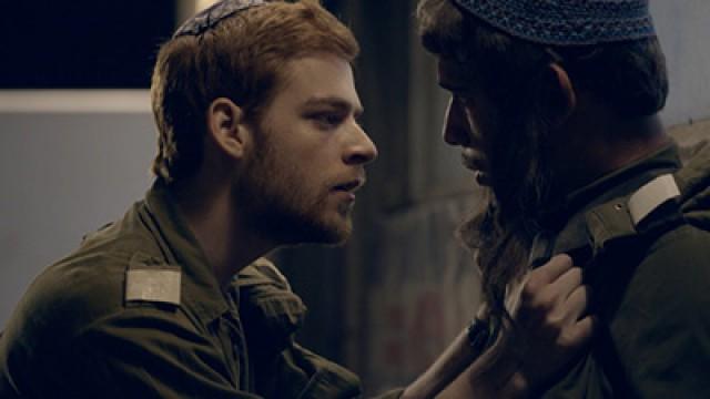 כלבי גישוש