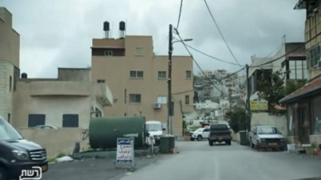 המהפכה של ג'ינג'י