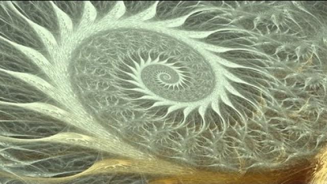 The Spiral