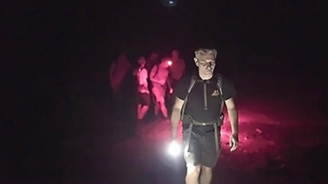Everyone's a nightmare to get lost in the night forest