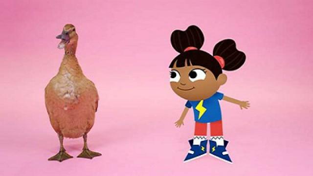 Duck
