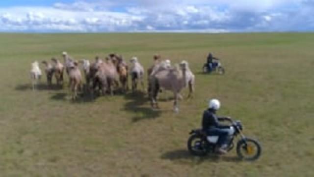 The Grasslands