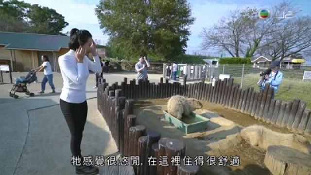 李旻芳在木更津泡億元白金風呂