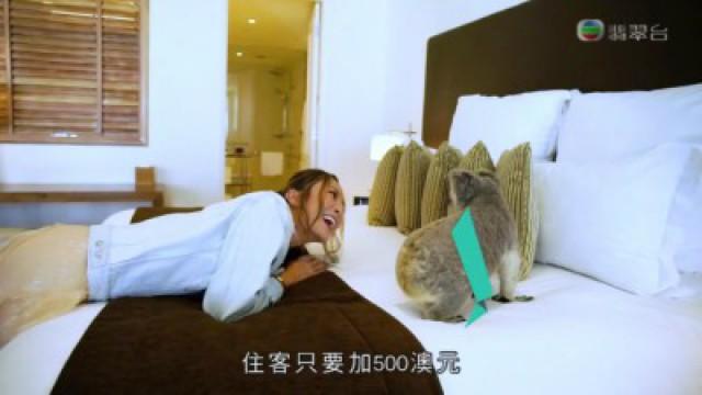 澳洲凱恩斯－上天下海欣賞大堡礁