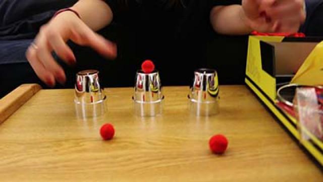 THE MAGIC SHOW!