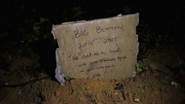 BIGBRUDDA\'S BURIAL SITE!