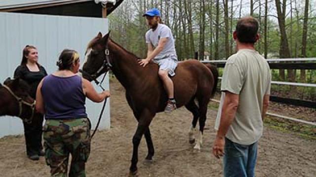 NO HORSING AROUND!