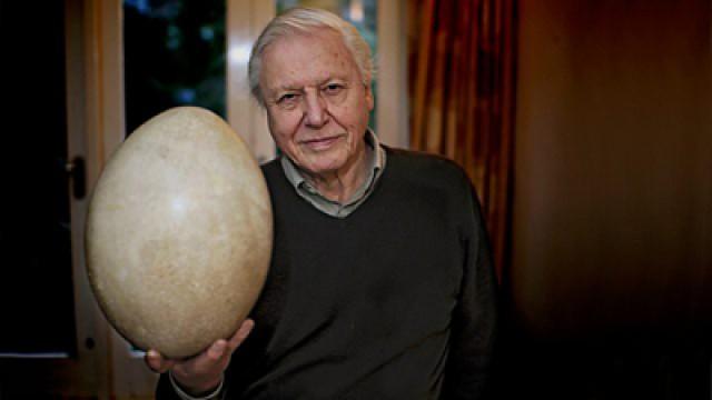 Attenborough and the Giant Egg