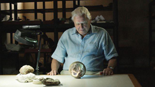 Attenborough and the Giant Dinosaur