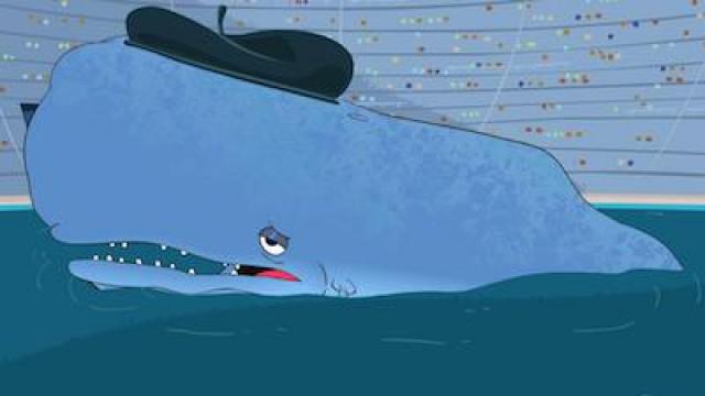 Whale World