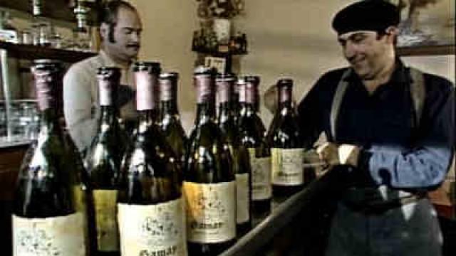 Pub - Gamay