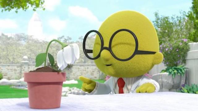 Bunsen Knows All