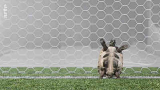 Fußballtorhüter