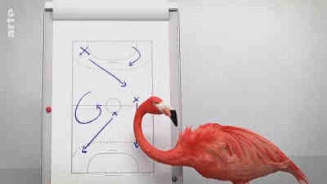 Handballtrainer