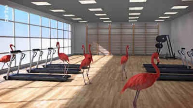 Im Fitnessstudio
