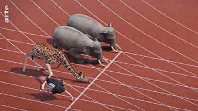 100-Meter-Lauf