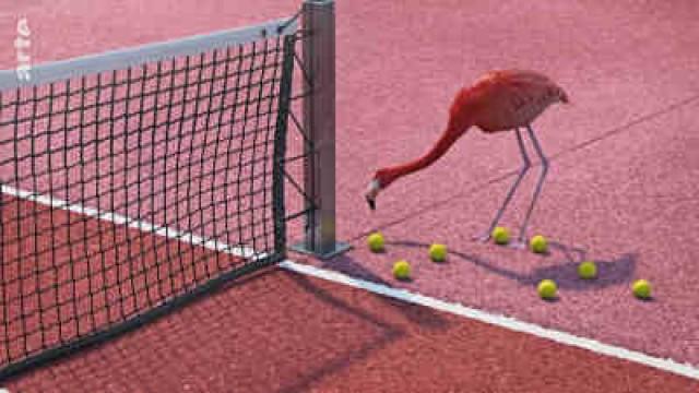 Tennistraining