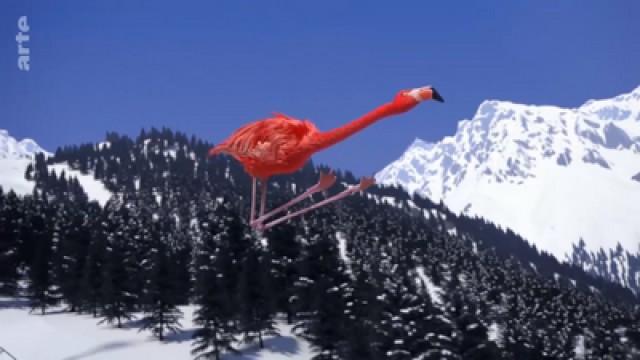 Skispringen