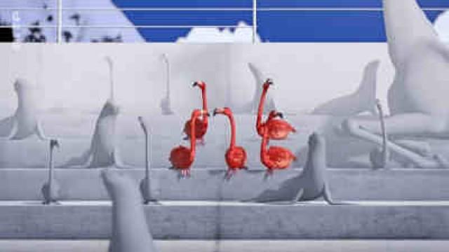 Flamingo-Torlauf