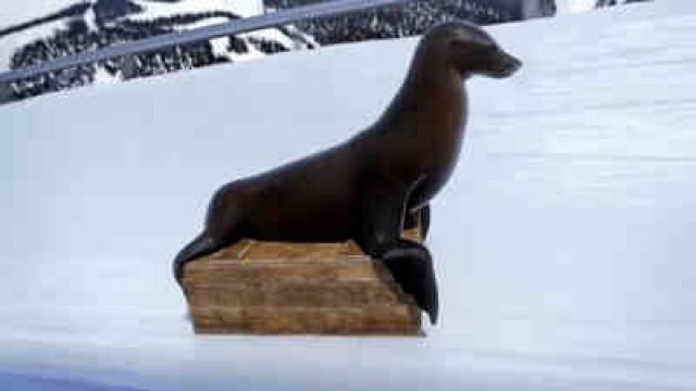 Schlittenjagd