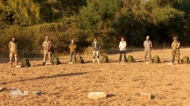 Épisode 1: La Savane