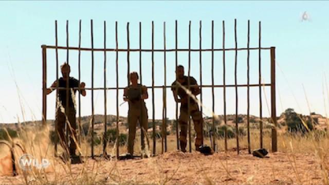 Épisode 2: Le Désert - Le Choix Décisif