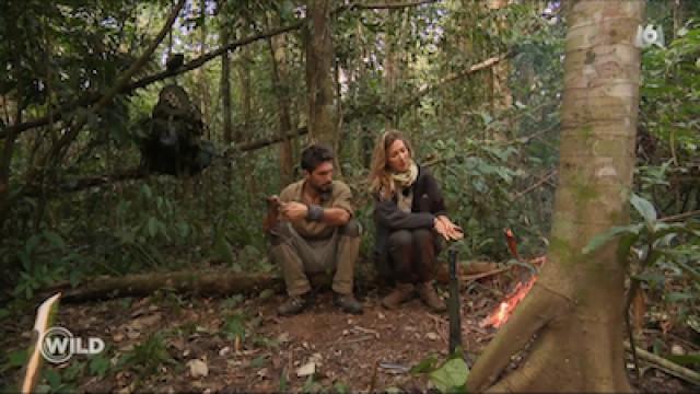 Épisode 3: La Jungle
