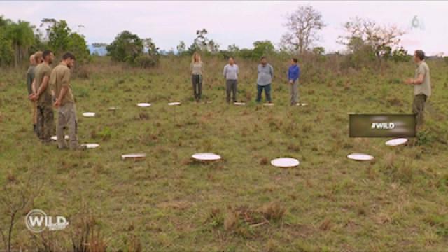 Épisode 3: La Jungle - Le Choix Décisif