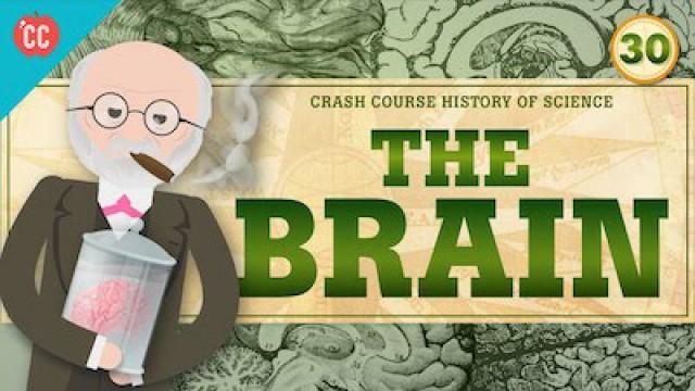 The Mind/Brain