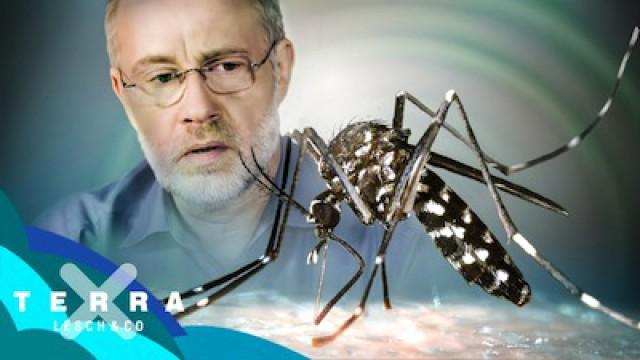 Bringt Olympia das Zika-Virus? | Harald Lesch