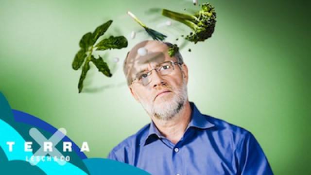 Ist vegane Ernährung Unsinn? | Harald Lesch