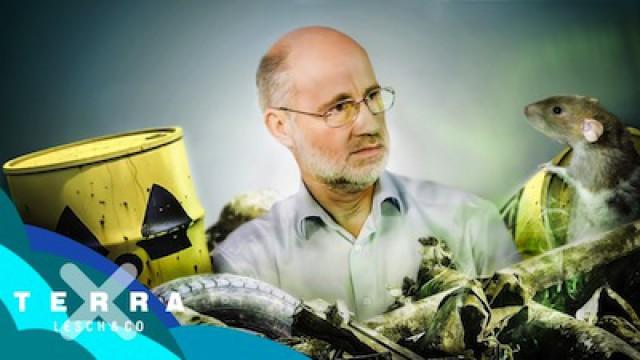 Wohin mit dem Atommüll? | Harald Lesch