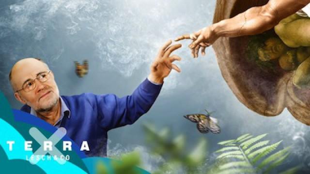 Hat Gott die Welt erschaffen? | Harald Lesch