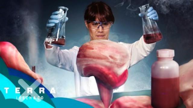 Ohne diesem Molekül im Blut wären wir sofort tot | Mai Thi Nguyen-Kim