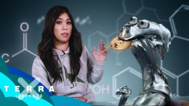 Aliens auf Siliziumbasis? | Mai Thi Nguyen-Kim