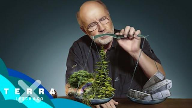 Warum der Hambacher Forst bleiben muss | Harald Lesch