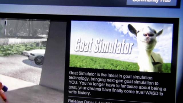 The Simulator